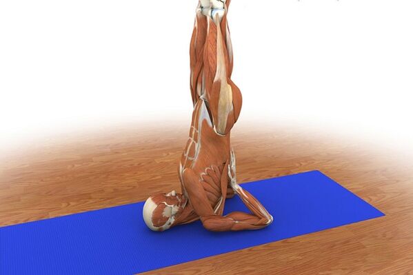 Birch power exercise