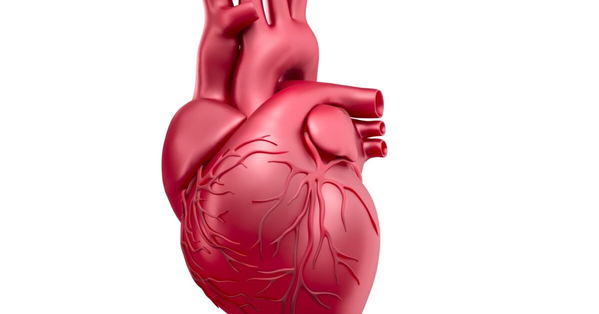 heart disease reduces power
